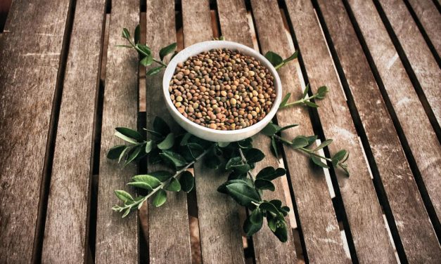 Φακές Εγκλουβής: Μία Ελληνική υπερτροφή με καταγωγή τη Λευκάδα