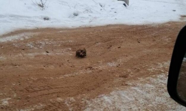 Μακάβριο θέαμα στη Σιβηρία: Ανακάλυψαν δρόμο από ανθρώπινα οστά