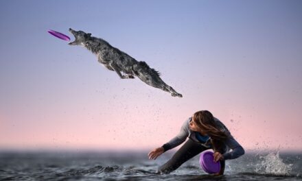 Οι καλύτερες φωτογραφίες της χρονιάς: 5 συγκλονιστικές εικόνες με τις δικές τους ιστορίες