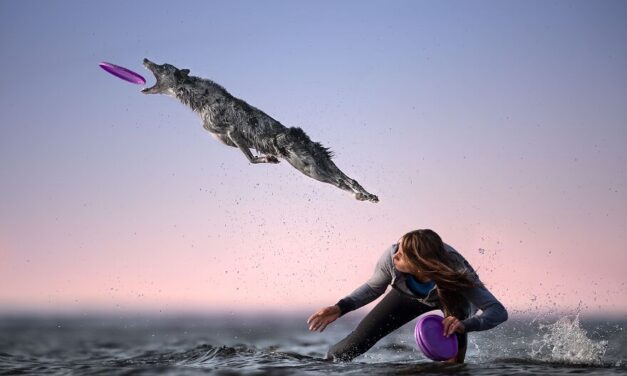 Οι καλύτερες φωτογραφίες της χρονιάς: 5 συγκλονιστικές εικόνες με τις δικές τους ιστορίες