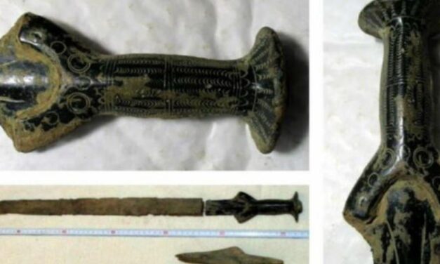 Τσεχία: Βγήκε για να μαζέψει μανιτάρια και βρήκε σπαθί 3.300 ετών