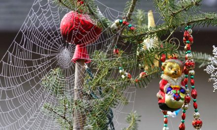 Τα 7 πιο περίεργα Χριστουγεννιάτικα έθιμα σε όλο τον κόσμο