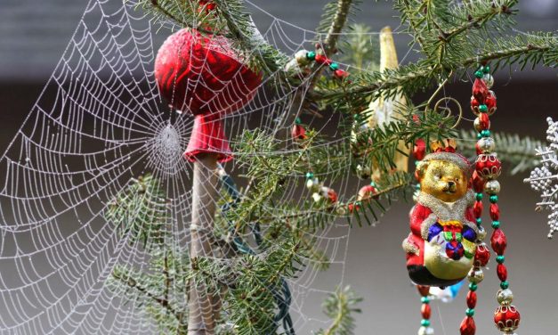 Τα 7 πιο περίεργα Χριστουγεννιάτικα έθιμα σε όλο τον κόσμο