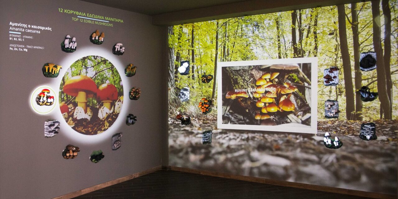 Ακόμα ένα βραβείο στο Μουσείο Μανιταριών στα Μετέωρα – Ξενάγηση μέσω ενός πρωτοποριακού συστήματος