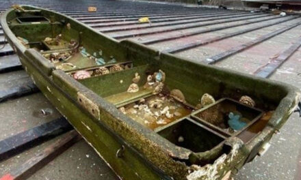 Ιαπωνία: Ψαρόβαρκα ξεβράστηκε στην ακτή σχεδόν 10 χρόνια μετά το φονικό τσουνάμι – Δείτε το video