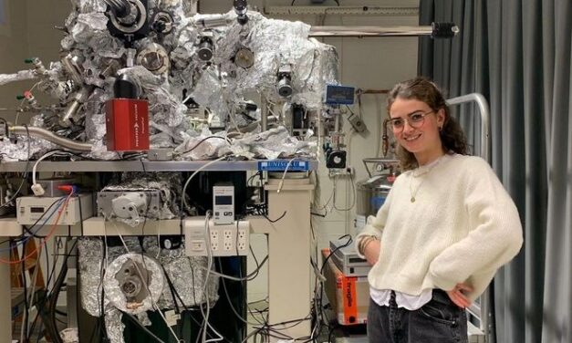 Ολλανδία: Φοιτήτρια κατασκεύασε το μικρότερο χριστουγεννιάτικο δέντρο με ύψος… 4 νανόμετρα