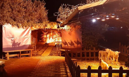 Σέρρες: Στήθηκε τρισδιάστατη φάτνη και μοιάζει σαν ένα μικρό χωριό – Επισκεφθείτε την…διαδικτυακά