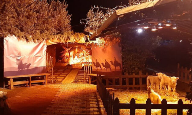 Σέρρες: Στήθηκε τρισδιάστατη φάτνη και μοιάζει σαν ένα μικρό χωριό – Επισκεφθείτε την…διαδικτυακά