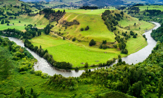 Κι όμως αυτός ο ποταμός στη Νέα Ζηλανδία έχει αναγνωριστεί ως νομική προσωπικότητα