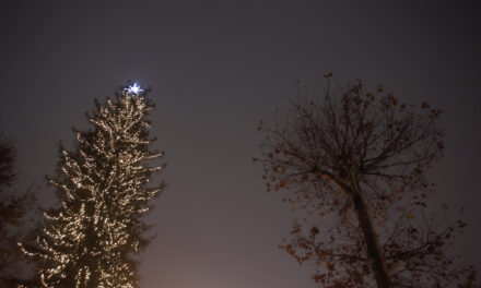 Χειμερινό ηλιοστάσιο 2020: Απόψε η μεγαλύτερη νύχτα του χρόνου