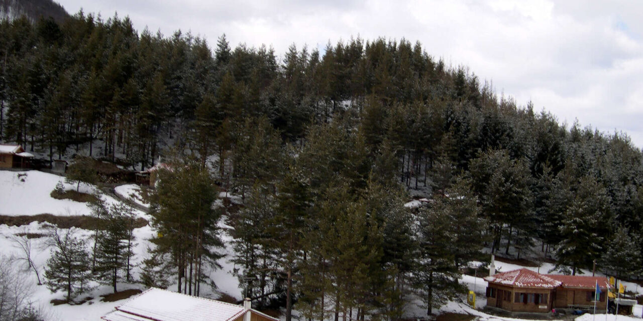 Το Δασικό χωριό της Ξάνθης ντύθηκε στα λευκά – Δείτε το Βίντεο