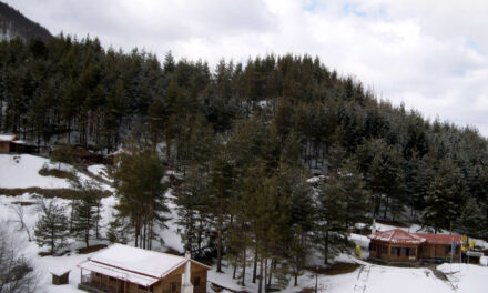 Το Δασικό χωριό της Ξάνθης ντύθηκε στα λευκά – Δείτε το Βίντεο