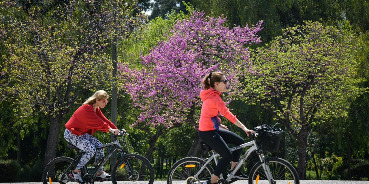 Χρήσιμα tips για τη σωστή αγορά ποδηλάτου – Η νέα μόδα που ήρθε για να μείνει;