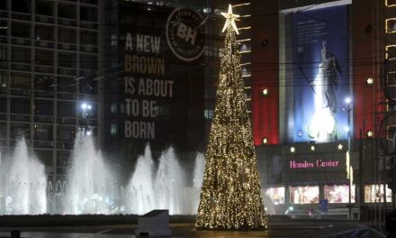 Στολίστηκε η πλατεία Ομονοίας – Χριστουγεννιάτικο δέντρο 15 μέτρων δίπλα στο σιντριβάνι