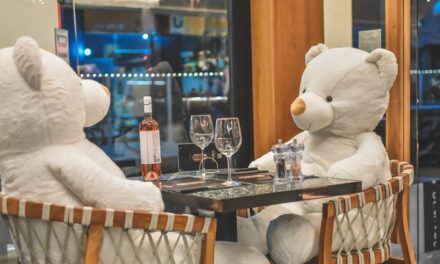 Cafe στην Καρδίτσα γίνεται viral – Στόλισε και έβαλε αρκούδους για πελάτες