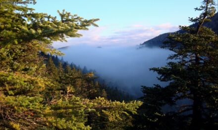 Αυτή είναι η πιο κρύα περιοχή της Ελλάδας – Έχει παγετό ακόμη και το καλοκαίρι