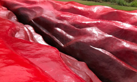 Βραζιλία: Ένα τεράστιο γλυπτό 33 μέτρων προκαλεί αντιδράσεις – Δείτε γιατί