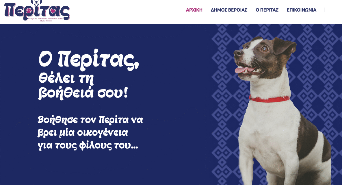 Υιοθεσία σκύλων συντροφιάς μέσω διαδικτύου από τον Δήμο Βέροιας