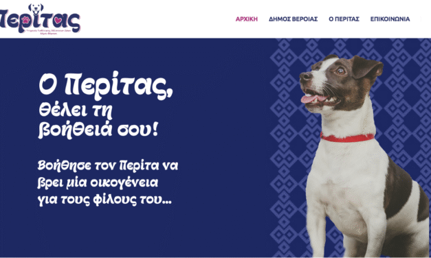 Υιοθεσία σκύλων συντροφιάς μέσω διαδικτύου από τον Δήμο Βέροιας