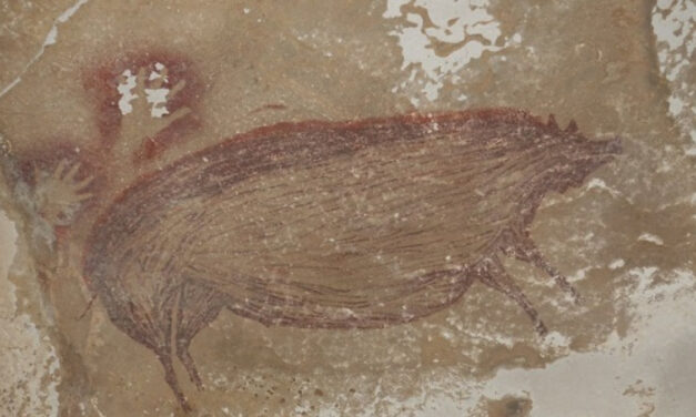 Ανακαλύφθηκε στην Ινδονησία η αρχαιότερη σπηλαιογραφία ζώου στον κόσμο