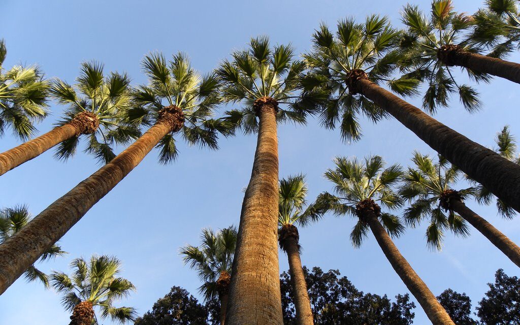 Εθνικός κήπος: Βόλτα στον καταπράσινο παράδεισο των Αθηναίων