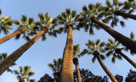 Εθνικός κήπος: Βόλτα στον καταπράσινο παράδεισο των Αθηναίων