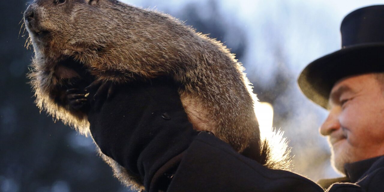 Ημέρα της Μαρμότας: Το περίφημο έθιμο που γιορτάζουν στις ΗΠΑ στις 2 Φεβρουαρίου