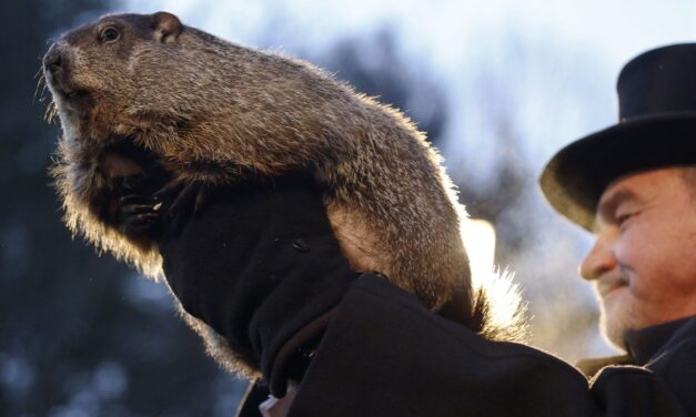 Ημέρα της Μαρμότας: Το περίφημο έθιμο που γιορτάζουν στις ΗΠΑ στις 2 Φεβρουαρίου
