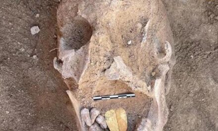 Αλεξάνδρεια: Αρχαιολόγοι ανακάλυψαν μούμιες 2000 ετών με χρυσές γλώσσες