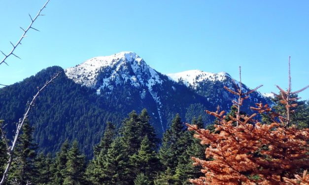 Ορεινή Ναυπακτία: Ανακαλύπτοντας την Άνω Χώρα
