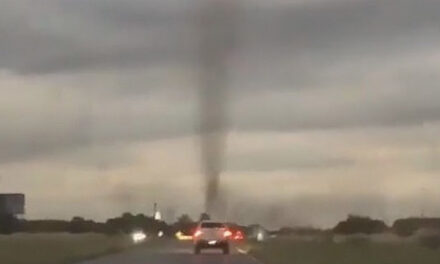 Αργεντινή: «Ανεμοστρόβιλος» που σχηματίστηκε από χιλιάδες κουνούπια προκαλεί τρόμο (video)