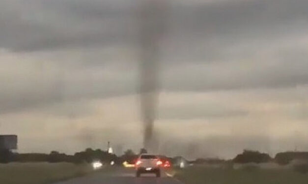 Αργεντινή: «Ανεμοστρόβιλος» που σχηματίστηκε από χιλιάδες κουνούπια προκαλεί τρόμο (video)