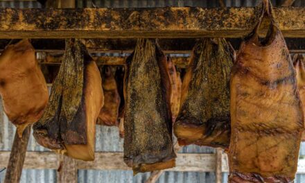 Εσείς γνωρίζετε τα 8 πιο παράξενα φαγητά του κόσμου;