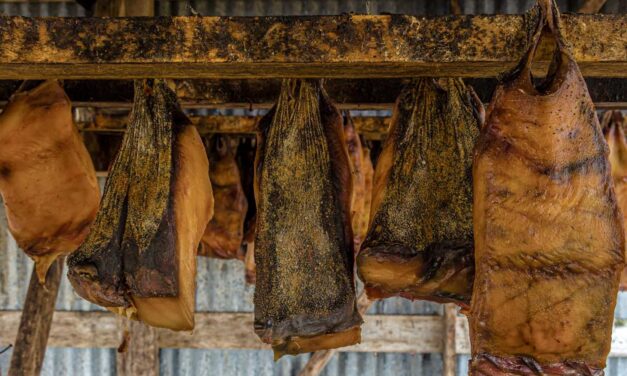 Εσείς γνωρίζετε τα 8 πιο παράξενα φαγητά του κόσμου;