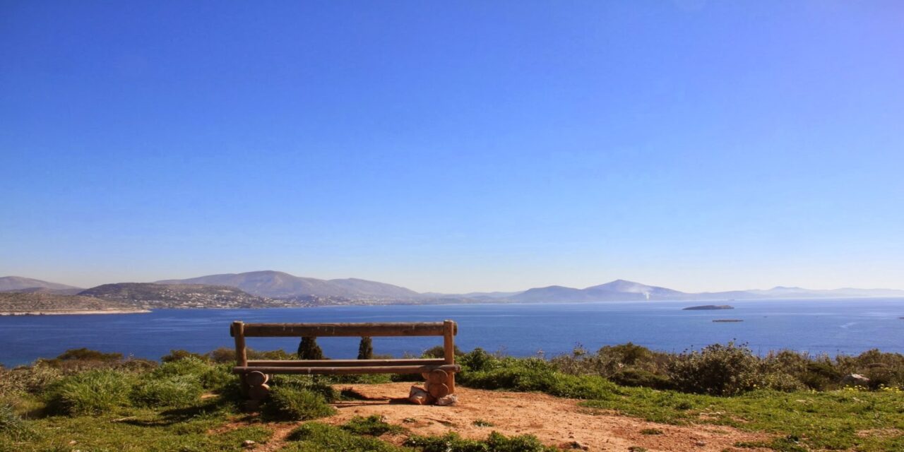 Δάσος της Φασκομηλιάς: Το μυστικό της Αττικής που λίγοι γνωρίζουν