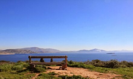 Δάσος της Φασκομηλιάς: Το μυστικό της Αττικής που λίγοι γνωρίζουν