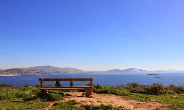 Δάσος της Φασκομηλιάς: Το μυστικό της Αττικής που λίγοι γνωρίζουν