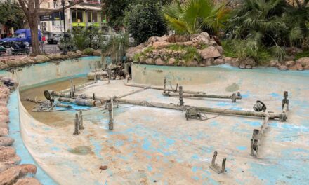 Δήμος Αθηναίων: Ξαναζωντανεύουν 34 εμβληματικά σιντριβάνια της πόλης