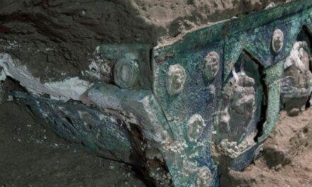 Πομπηία: Ανασκαφές έφεραν στο “φως” ένα σχεδόν άθικτο ρωμαϊκό άρμα (εικόνες)