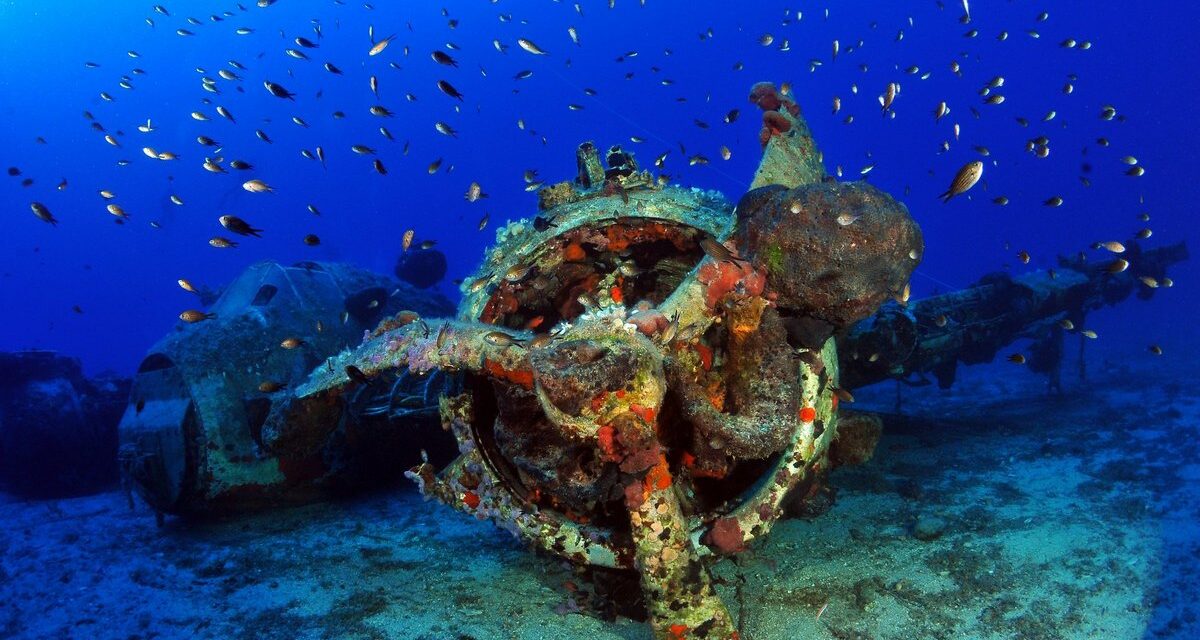 Πάνω από 90 ναυάγια πλοίων και αεροπλάνων αποδίδονται στο κοινό για καταδύσεις αναψυχής