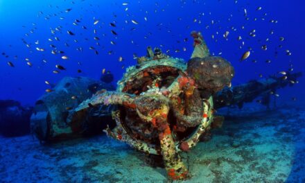 Πάνω από 90 ναυάγια πλοίων και αεροπλάνων αποδίδονται στο κοινό για καταδύσεις αναψυχής