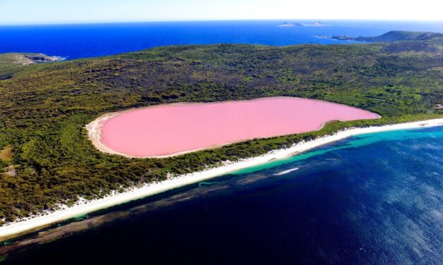 Ταξιδεύοντας στις ροζ λίμνες του πλανήτη