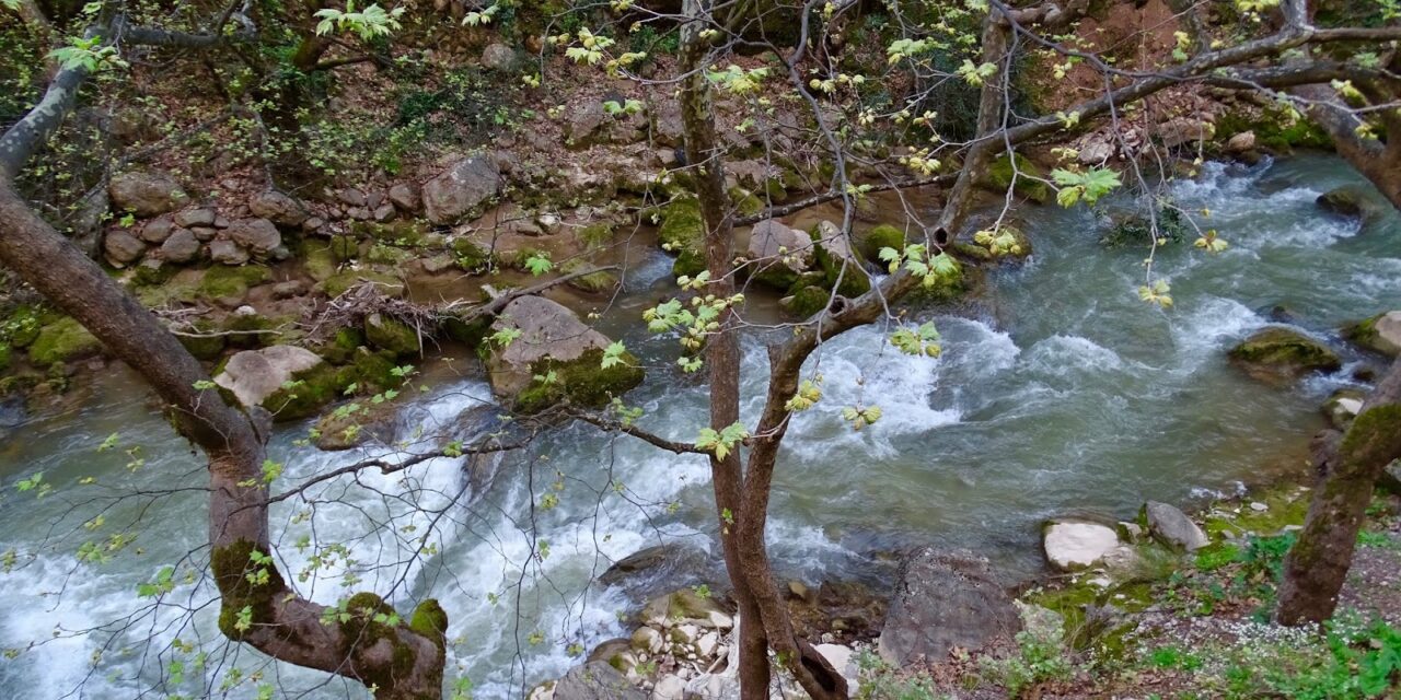 Βουραϊκος: Εντυπωσιακή βλάστηση, επιβλητικά σπήλαια και δραστηριότητες για όλες τις ηλικίες
