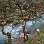 Βουραϊκος: Εντυπωσιακή βλάστηση, επιβλητικά σπήλαια και δραστηριότητες για όλες τις ηλικίες