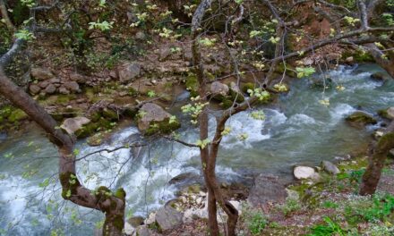 Βουραϊκος: Εντυπωσιακή βλάστηση, επιβλητικά σπήλαια και δραστηριότητες για όλες τις ηλικίες