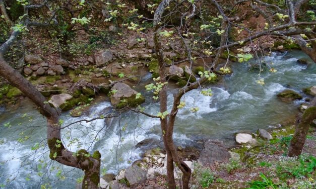 Βουραϊκος: Εντυπωσιακή βλάστηση, επιβλητικά σπήλαια και δραστηριότητες για όλες τις ηλικίες