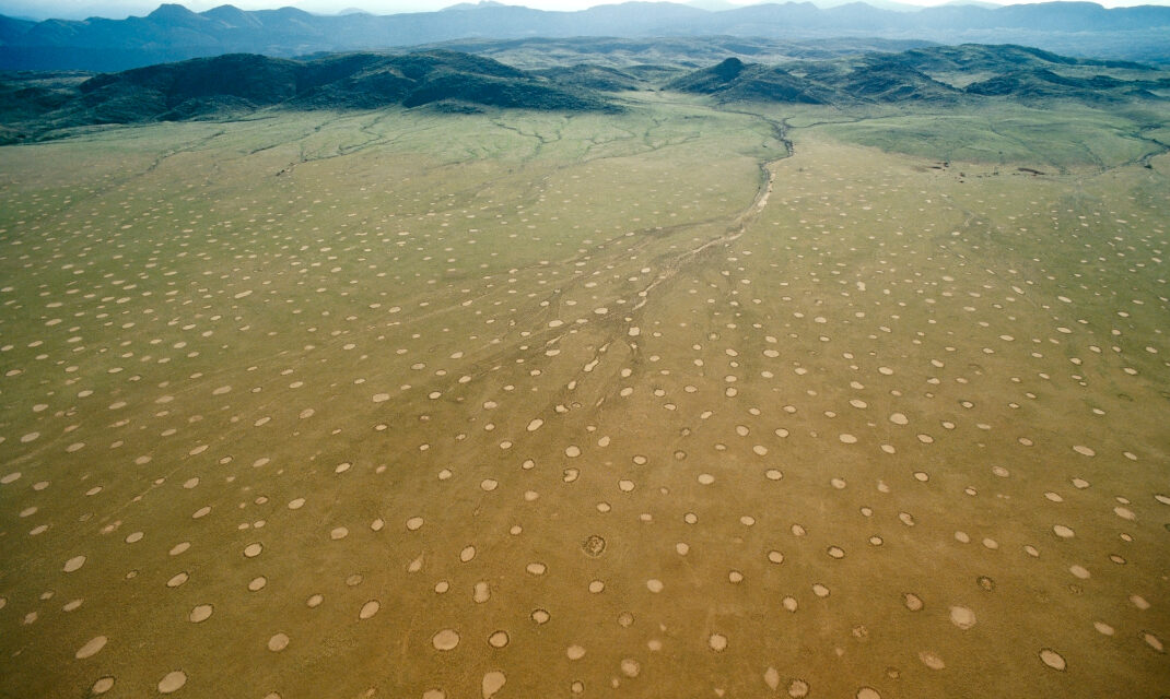 «Οι Κύκλοι των Νεράιδων»: Ένα ανεξήγητο, σπάνιο φαινόμενο που εντυπωσιάζει