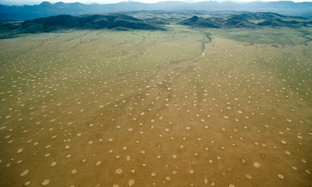 «Οι Κύκλοι των Νεράιδων»: Ένα ανεξήγητο, σπάνιο φαινόμενο που εντυπωσιάζει