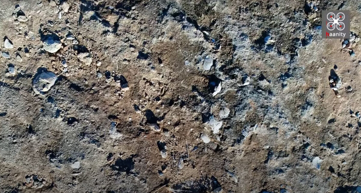 Σπάνια ανακάλυψη: Χωματόδρομος χωρίς όνομα με χιλιάδες απολιθωμένα κοχύλια εκατ. ετών (vid)