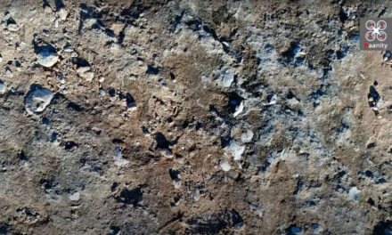 Σπάνια ανακάλυψη: Χωματόδρομος χωρίς όνομα με χιλιάδες απολιθωμένα κοχύλια εκατ. ετών (vid)